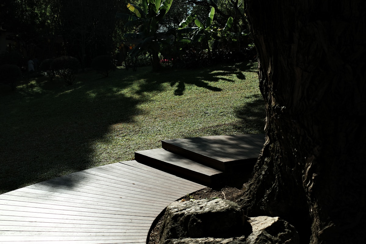 Cedar deck with pergola in a residential backyard