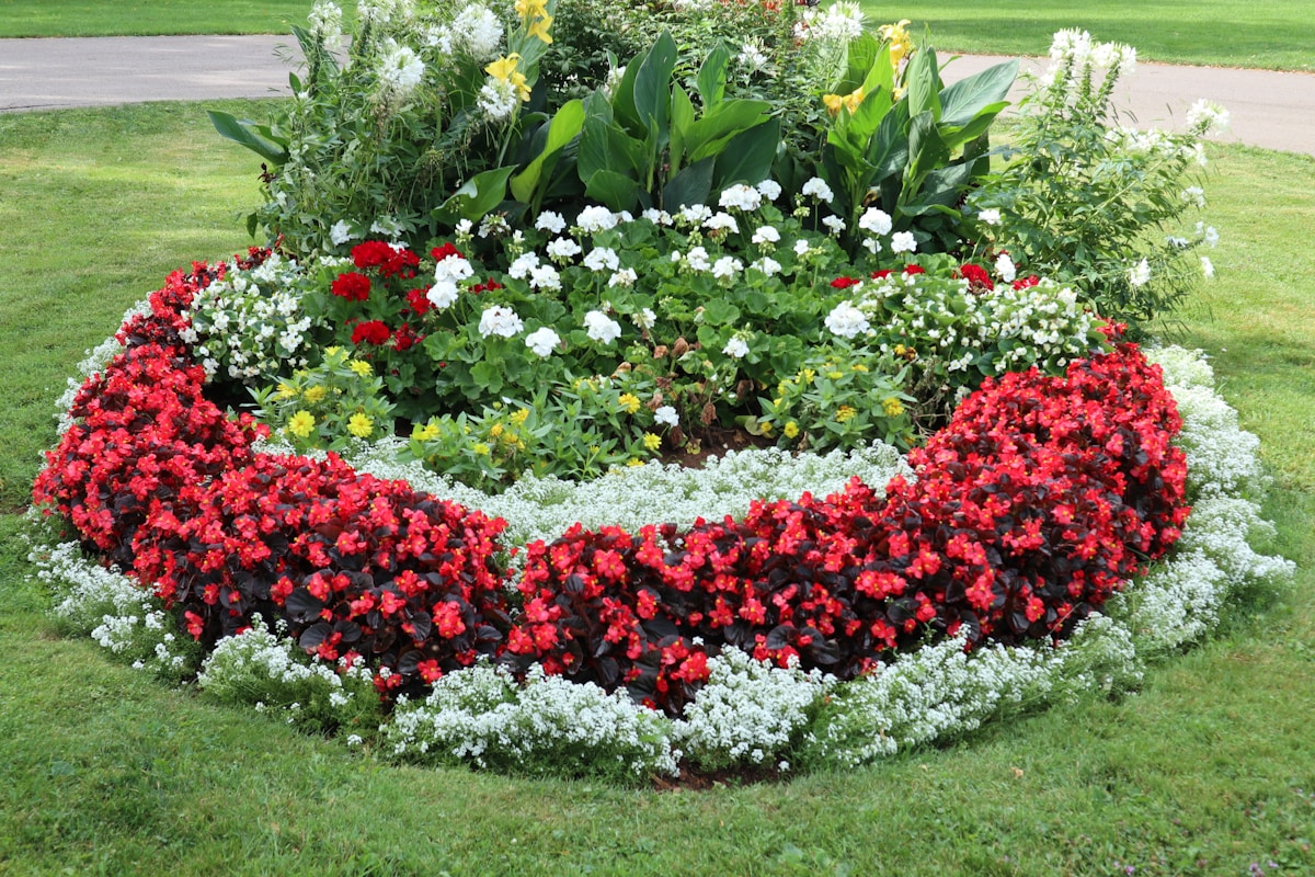 Raised cedar garden bed with planted vegetables